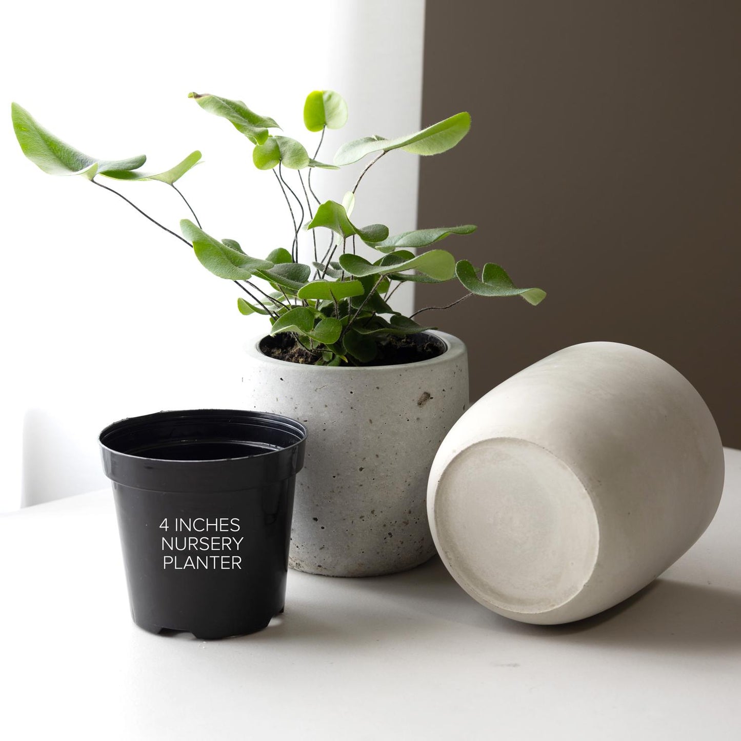 4-inch Planter Silicone Mold with Casting Frame